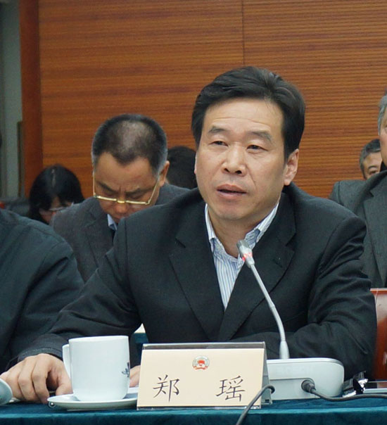 省残联理事长郑瑶发言